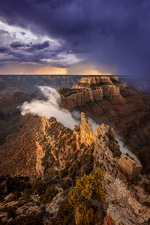 Emerging Tempest