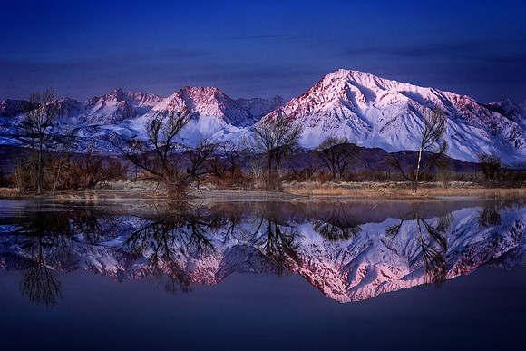 Reflections