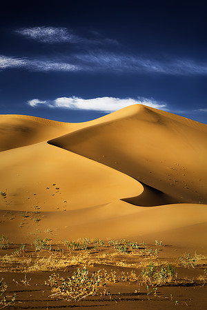 Ibex Dunes