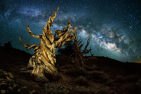 Methuselah and the Milky Way
