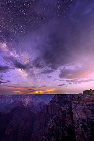 Canyon Night Life