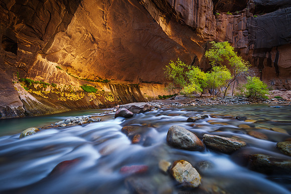 Zion Narrows