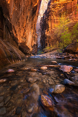 Zion Narrows