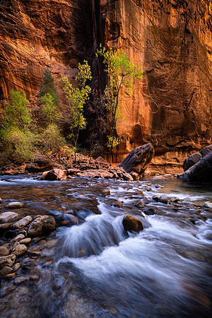 Zion Narrows